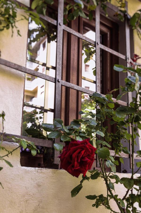 Lovely Nest Near Center Apartamento Florencia