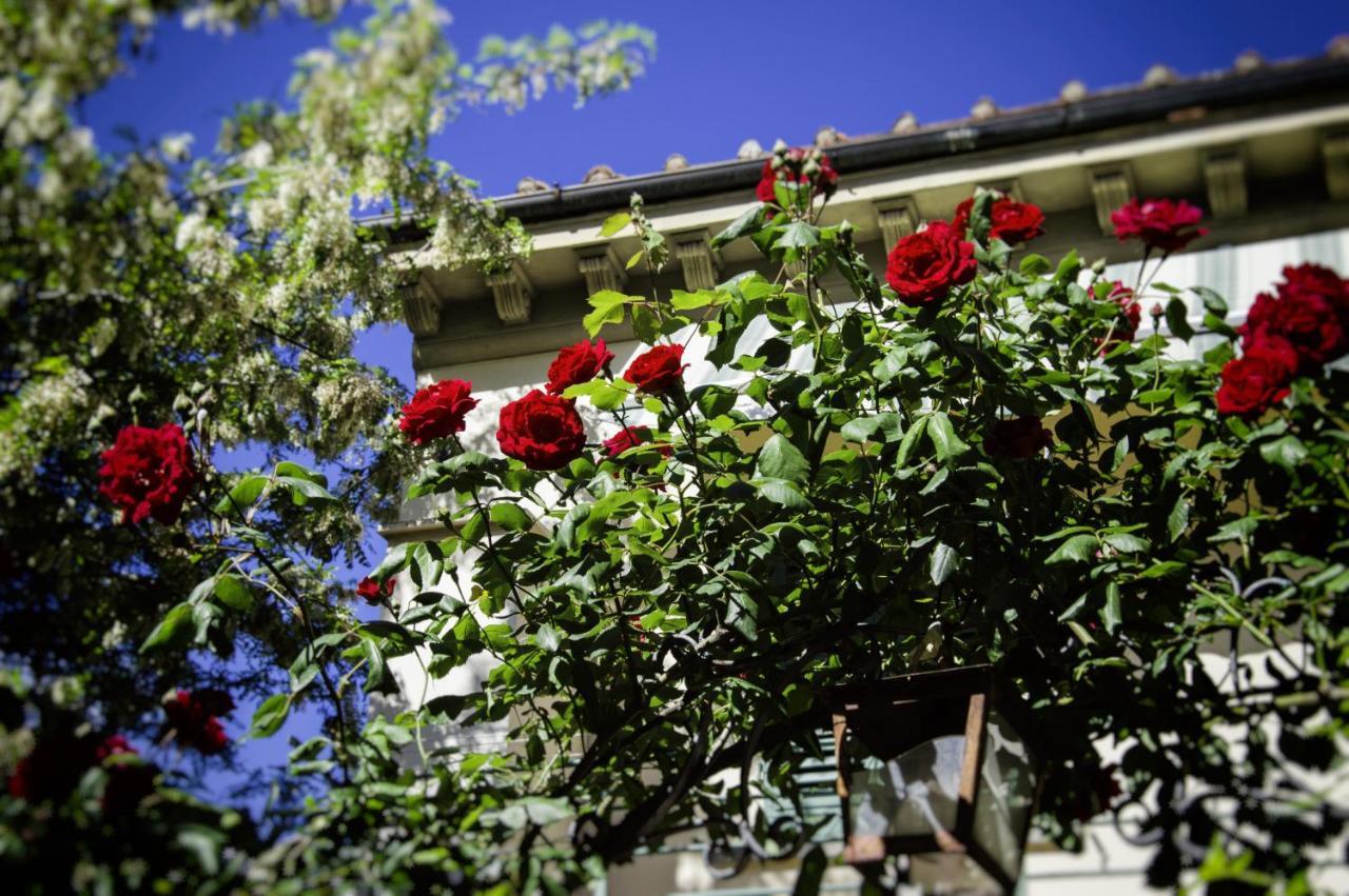 Lovely Nest Near Center Florencia